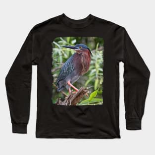 Green Heron Long Sleeve T-Shirt